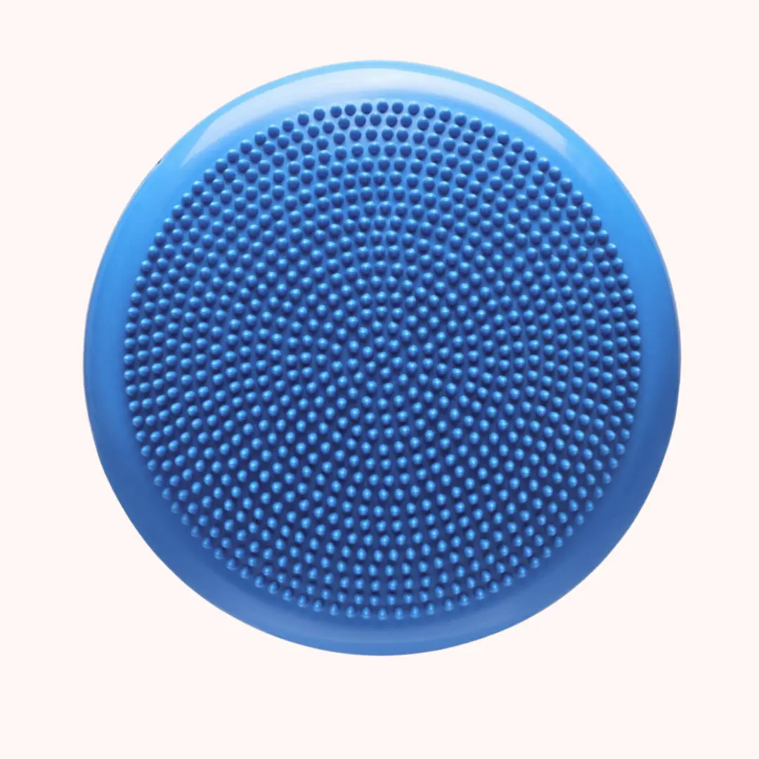 NeuroOne physio balance disc